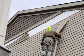 Best Siding for New Construction  in South Daytona, FL